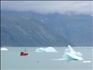 Greenland 2007 582